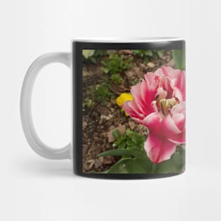 Pink Double early Tulip Mug